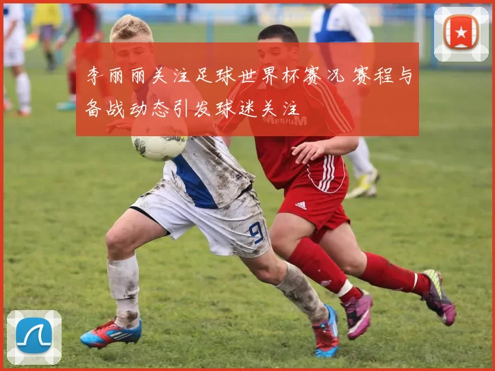 李丽丽关注足球世界杯赛况 赛程与备战动态引发球迷关注