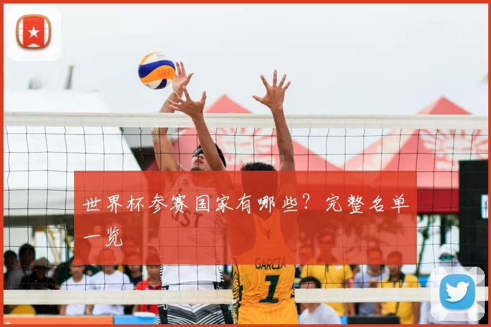 世界杯参赛国家有哪些？完整名单一览