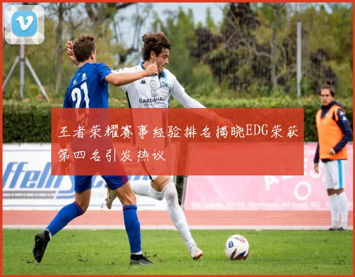 王者荣耀赛事经验排名揭晓EDG荣获第四名引发热议