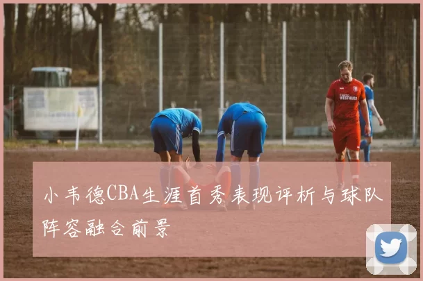小韦德CBA生涯首秀表现评析与球队阵容融合前景