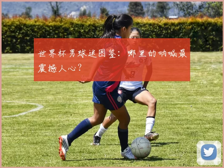 世界杯男球迷图鉴：哪里的呐喊最震撼人心？