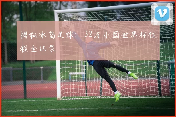 揭秘冰岛足球：32万小国世界杯征程全记录
