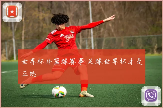 世界杯非篮球赛事 足球世界杯才是正统