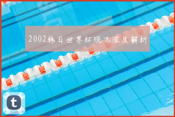 2002韩日世界杯现况深度解析