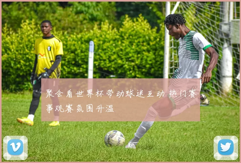 聚会看世界杯带动球迷互动 热门赛事观赛氛围升温