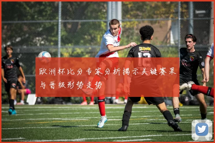 欧洲杯比分专家分析揭示关键赛果与晋级形势走势