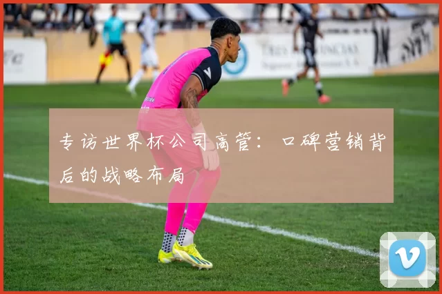 专访世界杯公司高管:口碑营销背后的战略布局