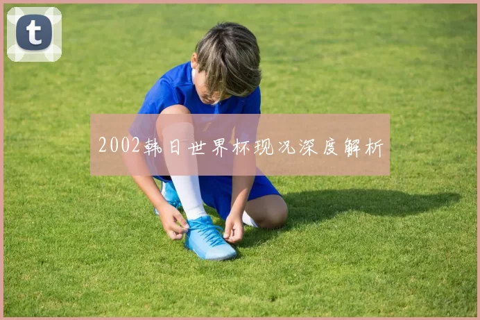 2002韩日世界杯现况深度解析
