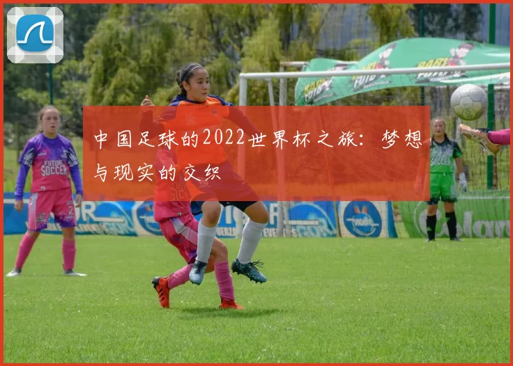 中国足球的2022世界杯之旅:梦想与现实的交织