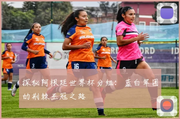 探秘阿根廷世界杯分组：蓝白军团的荆棘王冠之路
