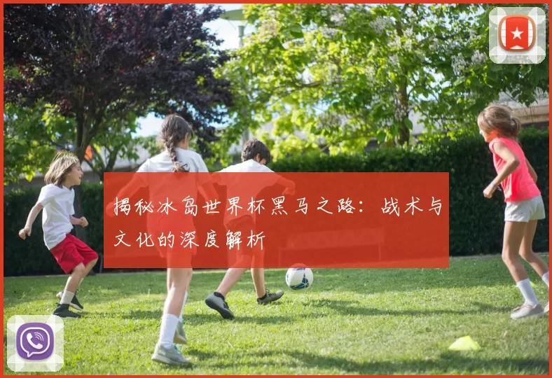 揭秘冰岛世界杯黑马之路：战术与文化的深度解析
