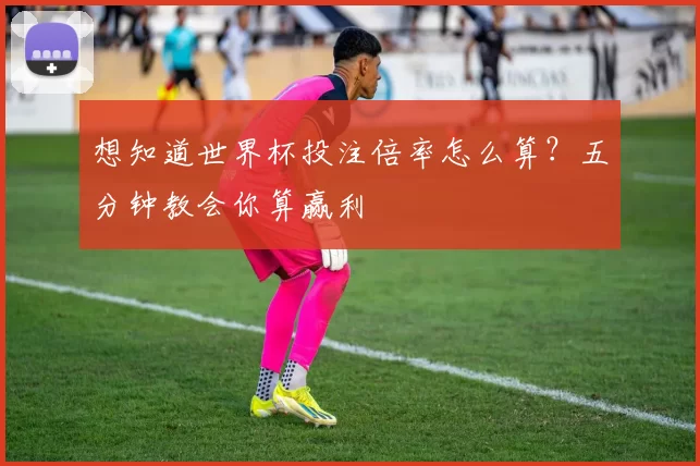 想知道世界杯投注倍率怎么算？五分钟教会你算赢利