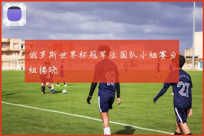俄罗斯世界杯冠军法国队小组赛分组揭晓